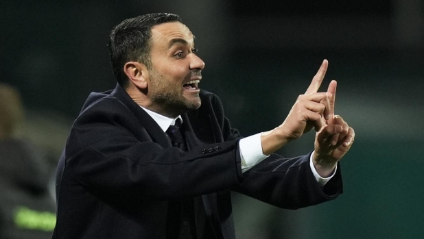 Palladino: "Dobbiamo fare la partita perfetta, la Fiorentina ha una gran voglia di vincere" 1 Palladino: "Dobbiamo fare la partita perfetta, la Fiorentina ha una gran voglia di vincere"