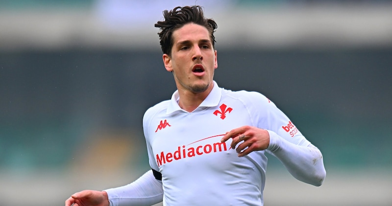 Zaniolo esclusivo: "Rissa al Viola Park? Ora basta, vi dico come è andata..." 1 Zaniolo esclusivo: "Rissa al Viola Park? Ora basta, vi dico come è andata..."