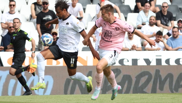 Più investimenti, ma meno punti rispetto a un anno fa: il paradosso della stagione del Palermo 2 Più investimenti, ma meno punti rispetto a un anno fa: il paradosso della stagione del Palermo