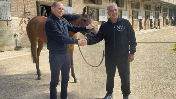 Di Basco: "Amavo bici, locali e donne, ora alleno i cavalli di Allegri. E con me niente corto muso" 3 Di Basco: "Amavo bici, locali e donne, ora alleno i cavalli di Allegri. E con me niente corto muso"