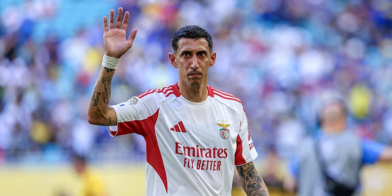 Benfica-Auckland City: orario, diretta, probabili formazioni e dove vedere in tv e streaming il Mondiale per Club 1 Benfica-Auckland City: orario, diretta, probabili formazioni e dove vedere in tv e streaming il Mondiale per Club