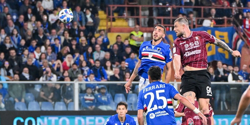 Sampdoria-Salernitana: orario, diretta e dove vedere in tv e streaming i Play out in tempo reale 1 Sampdoria-Salernitana: orario, diretta e dove vedere in tv e streaming i Play out in tempo reale