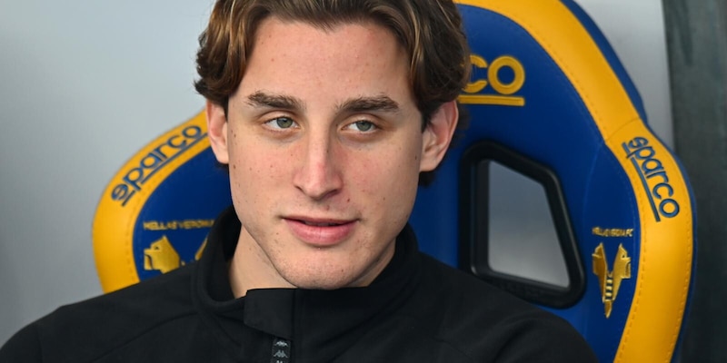 Bove rivede la luce: dal grande spavento a Sanremo e le lacrime dell'Olimpico. Ora Edo sogna il gran ritorno 2 Bove rivede la luce: dal grande spavento a Sanremo e le lacrime dell'Olimpico. Ora Edo sogna il gran ritorno