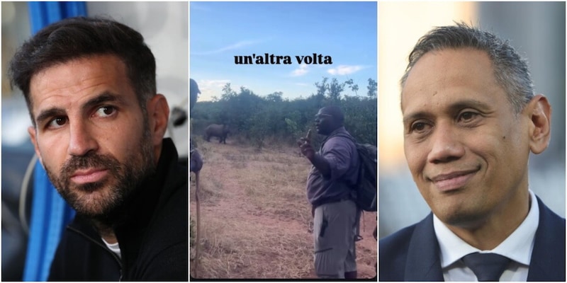 Fabregas all'Inter, la dura presa di posizione del presidente del Como: "Un'altra volta..." 3 Fabregas all'Inter, la dura presa di posizione del presidente del Como: "Un'altra volta..."