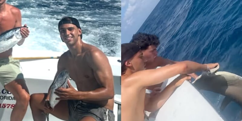 Bufera su Joao Felix: "Crudele verso gli animali". Cosa è successo 2 Bufera su Joao Felix: "Crudele verso gli animali". Cosa è successo