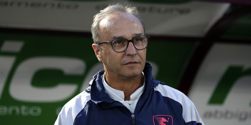 Serie B, respinto dal Tfn il ricorso della Salernitana: il playout con la Sampdoria si giocherà 1 Serie B, respinto dal Tfn il ricorso della Salernitana: il playout con la Sampdoria si giocherà