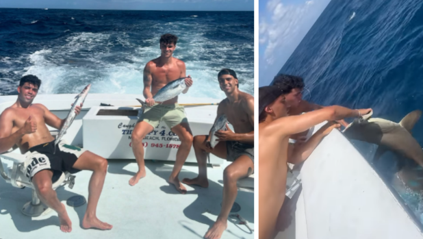 Joao Felix, bufera social: posta un video mentre pesca ed è polemica, "maltratta gli squali" 3 Joao Felix, bufera social: posta un video mentre pesca ed è polemica, "maltratta gli squali"
