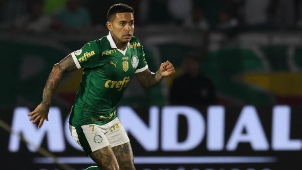 Insulti misogini alla presidente del Palmeiras, sei giornate di squalifica per Dudu 4 Insulti misogini alla presidente del Palmeiras, sei giornate di squalifica per Dudu