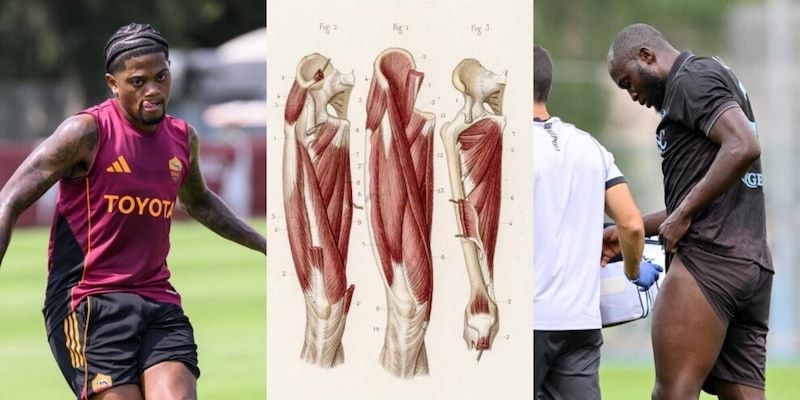 Lesione retto femorale da Bailey a Lukaku: tempi di recupero, terapia o operazione, cosa c'è da sapere 3 Lesione retto femorale da Bailey a Lukaku: tempi di recupero, terapia o operazione, cosa c'è da sapere