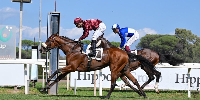 La Juve allo Stadium, Mr Darcy a Roma: Allegri, la domenica col cuore a metà 1 La Juve allo Stadium, Mr Darcy a Roma: Allegri, la domenica col cuore a metà