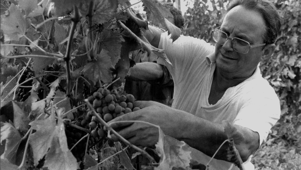 La maledetta estate in cui tutti odiavano Fabbri e lui scappò in convento 1 La maledetta estate in cui tutti odiavano Fabbri e lui scappò in convento