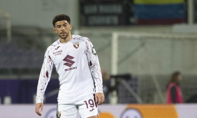 Il Torino ritrova la sua punta più duttile: ecco come può essere utilizzato Che Adams