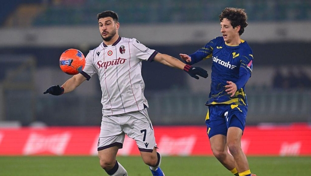 Bologna-Verona, il pronostico: ultima chiamata per l'Europa e per la salvezza