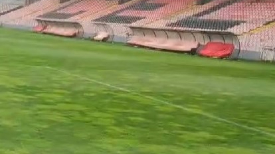 Bosnia-Italia, il campo è a macchia di leopardo: erba non uniforme 3 Bosnia-Italia, il campo è a macchia di leopardo: erba non uniforme