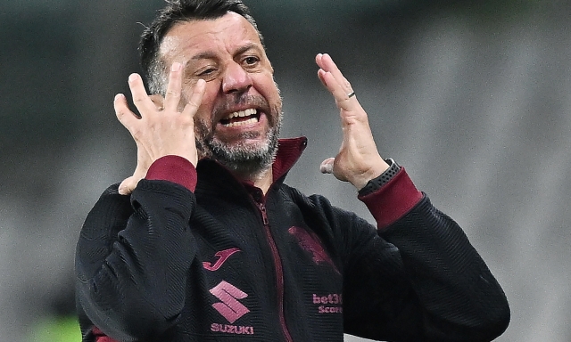 D'Aversa: "Toro, a Pisa dobbiamo iniziare a cambiare marcia anche in trasferta"