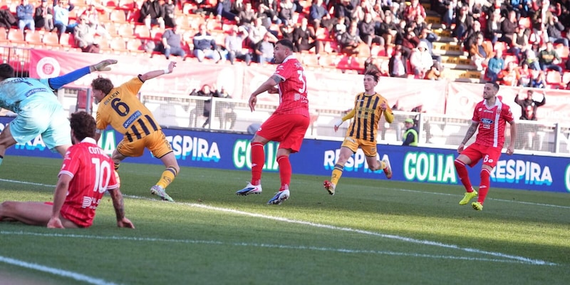Juve Stabia-Monza diretta playoff Serie B: segui la semifinale d'andata LIVE