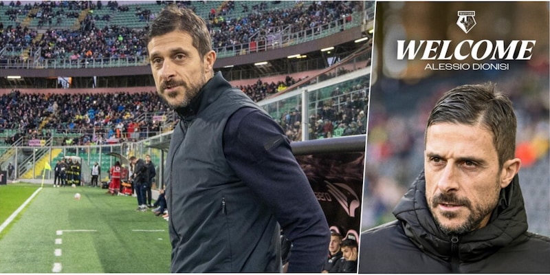 Watford, Alessio Dionisi è il nuovo allenatore: l'annuncio ufficiale 4 Watford, Alessio Dionisi è il nuovo allenatore: l'annuncio ufficiale