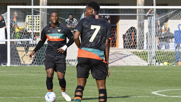Trionfo del Venezia: 8-0 alla Vis Pesaro con doppietta di Lauberbach 3 Trionfo del Venezia: 8-0 alla Vis Pesaro con doppietta di Lauberbach