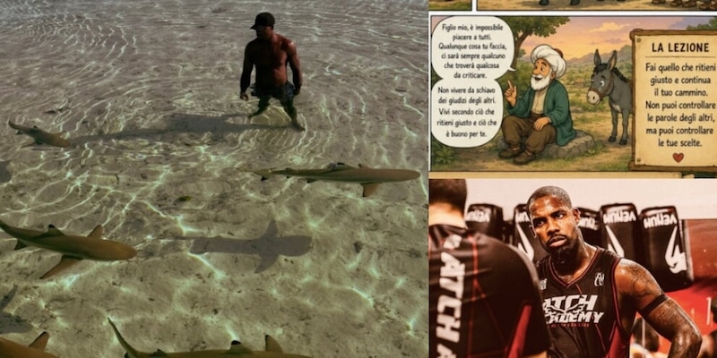Maignan, il criptico ritorno sui social e la foto tra gli squali: "Le persone criticano..." 2 Maignan, il criptico ritorno sui social e la foto tra gli squali: "Le persone criticano..."
